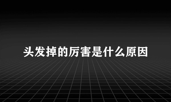 头发掉的厉害是什么原因