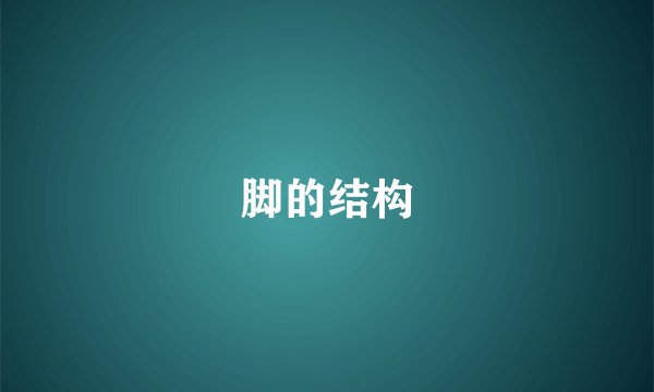 脚的结构