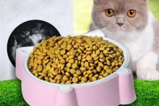 最好的猫粮是什么牌子?