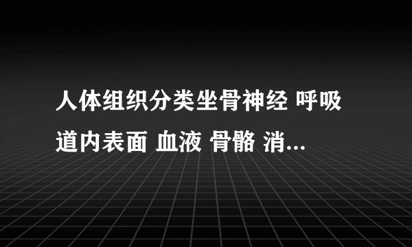 人体组织分类坐骨神经 呼吸道内表面 血液 骨骼 消化道内表面 骨骼肌 皮肤的表皮 皮下的脂肪 心肌上皮组织是：结缔组织是：肌肉组织是：神经组织是：