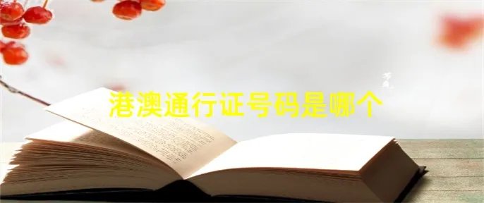 港澳通行证号码是哪个