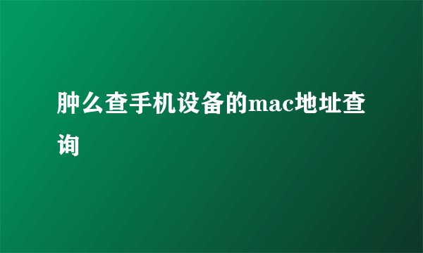 肿么查手机设备的mac地址查询