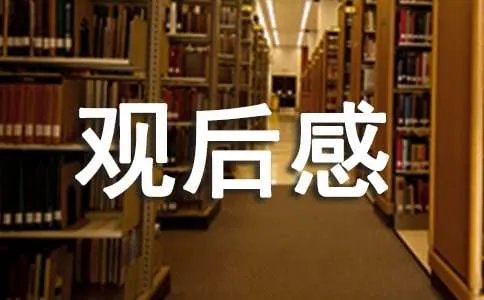 郑义门观后感
