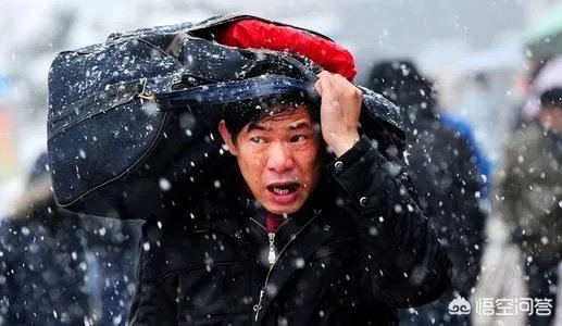 春运是不是地球上最大规模的人类迁徙?