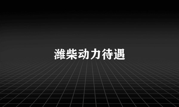 潍柴动力待遇
