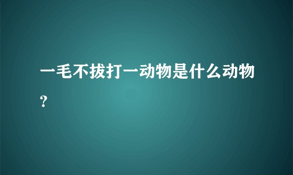 一毛不拔打一动物是什么动物？