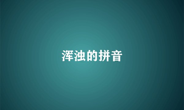 浑浊的拼音