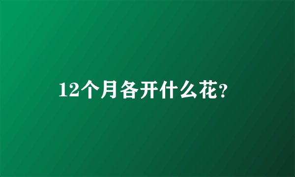 12个月各开什么花？