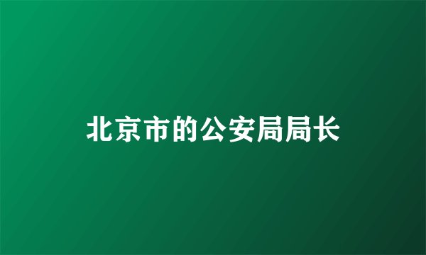 北京市的公安局局长