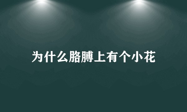 为什么胳膊上有个小花