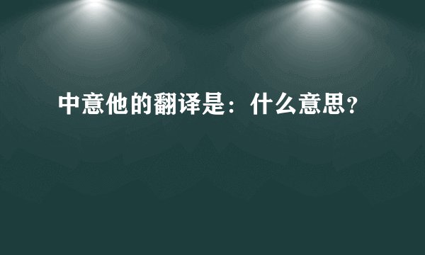 中意他的翻译是：什么意思？
