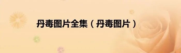 丹毒图片全集（丹毒图片）