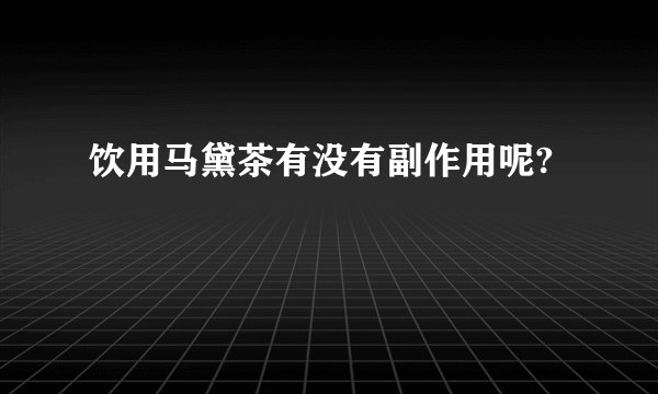 饮用马黛茶有没有副作用呢?