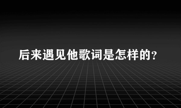 后来遇见他歌词是怎样的？