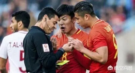 法加尼和德国