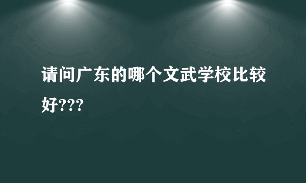 请问广东的哪个文武学校比较好???
