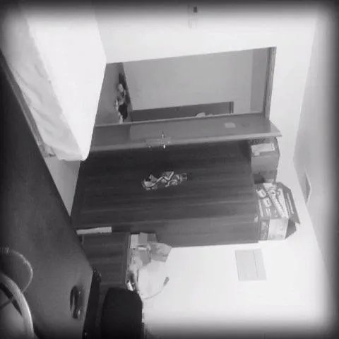 郝腾蛟的介绍