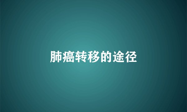 肺癌转移的途径
