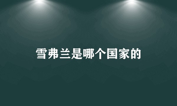 雪弗兰是哪个国家的