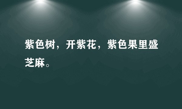 紫色树，开紫花，紫色果里盛芝麻。
