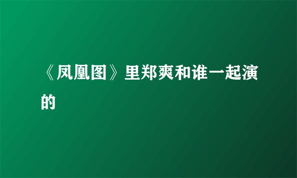 《凤凰图》里郑爽和谁一起演的