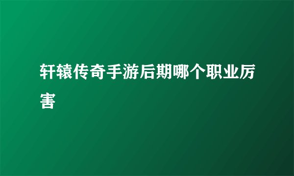 轩辕传奇手游后期哪个职业厉害