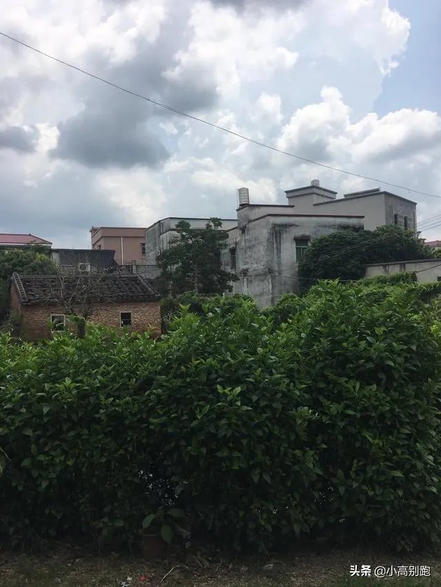 河南的人喜欢吃什么?