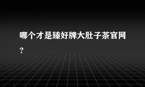 哪个才是臻好牌大肚子茶官网？
