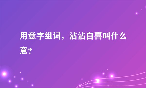 用意字组词，沾沾自喜叫什么意？