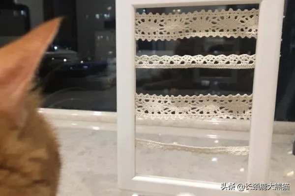 如何自制耳环|DIY自制耳环架?