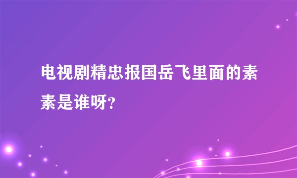电视剧精忠报国岳飞里面的素素是谁呀？
