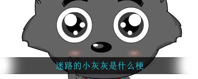 迷路的小灰灰是什么梗