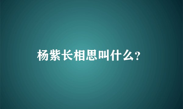 杨紫长相思叫什么？