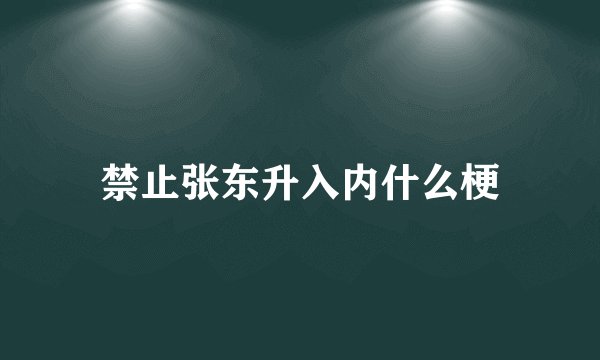 禁止张东升入内什么梗