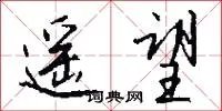 遥望