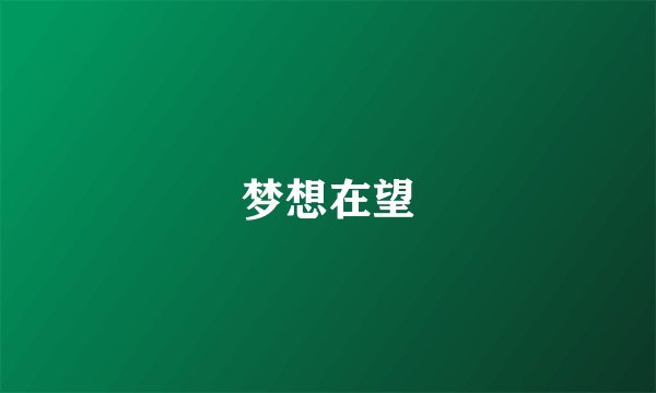 梦想在望