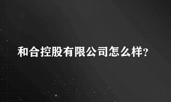 和合控股有限公司怎么样？