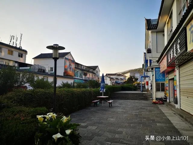 大理大学的樱花真的很多吗?好看吗?