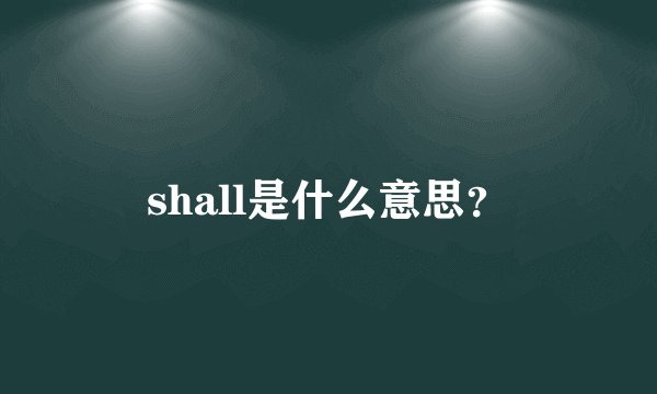 shall是什么意思？