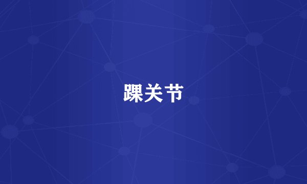 踝关节