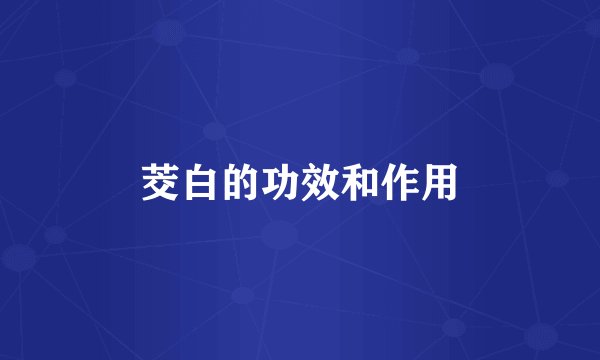 茭白的功效和作用
