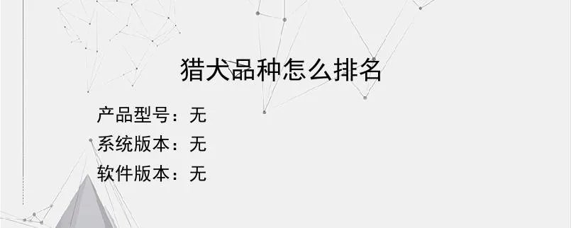 猎犬品种怎么排名