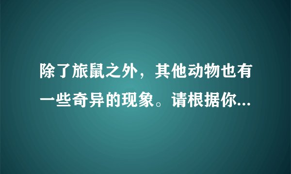 除了旅鼠之外，其他动物也有一些奇异的现象。请根据你的观察和了解，写一段文字，说明某种动物奇异的表现及其原因，在班上交流。200字左右。