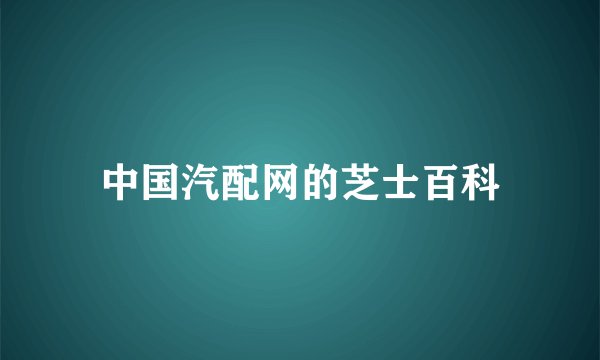 中国汽配网的芝士百科