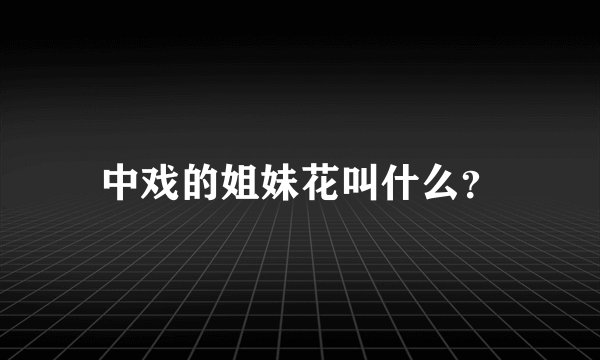中戏的姐妹花叫什么？