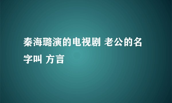 秦海璐演的电视剧 老公的名字叫 方言