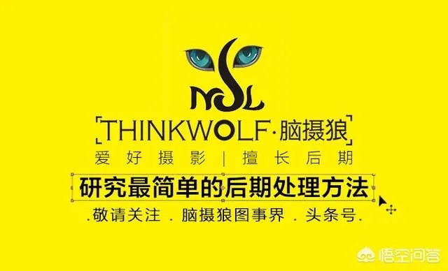 谁能说说哈苏503CW呀?周杰伦新歌《说好不哭》里男主想要的那台相机?