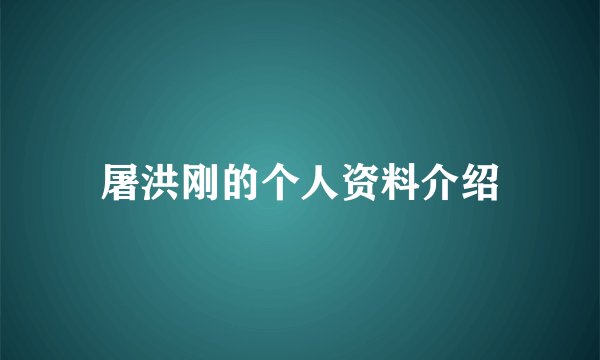 屠洪刚的个人资料介绍