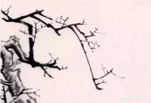 国画梅花图解教程?