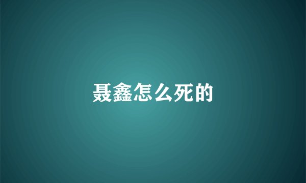 聂鑫怎么死的